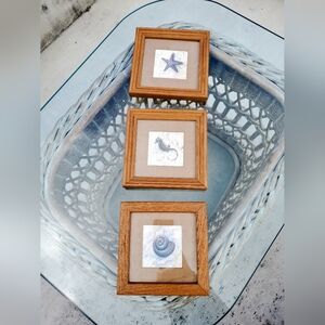 Nautical Seashell Framed Artwork